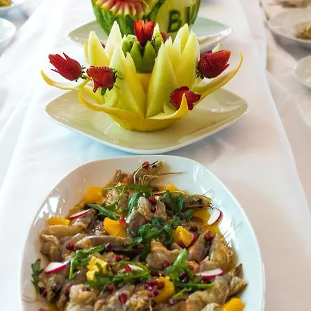 Western Galla Hotel Sllatine e Madhe